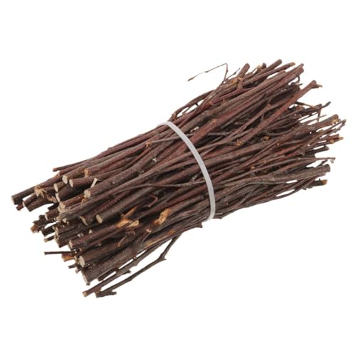 Parliky Natural Birch Branch Decoration Bundle Wood Twigs Sticks for DIY Crafts Christmas Photo Props Craft Wood Sticks Wooden Branch