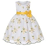 Vestido de bebé para bautizo y cumpleaños para bebé 0 a 24 Meses.