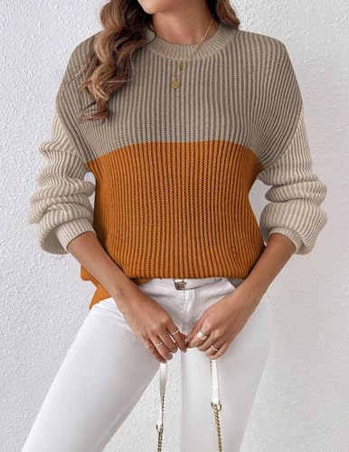 Image of Zeagoo Women 2026 Fall Lightweight Oversized Sweater Crew Neck Long Sleeve Color Block Pullover Rib Knit Blouse Tops XS-2XL