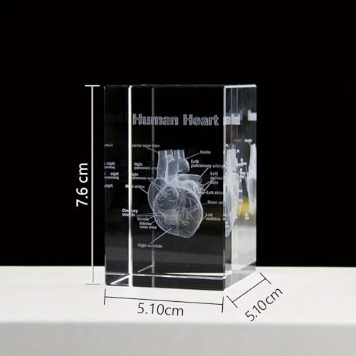 Anatomisches Kristallmodell-Set – Präzisionsgeätzte 3D-Darstellung von Herz, für Medizin & Design