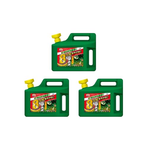 Œ8JGh ͏  4.5L eʃ^Cv ܂Ō͂炷 Eԏp (3)