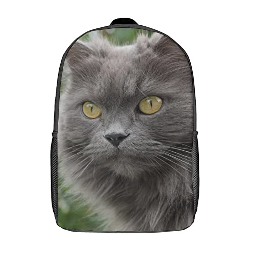 Sac à dos école chat imprimé 3D pour transporter vos affaires de cours