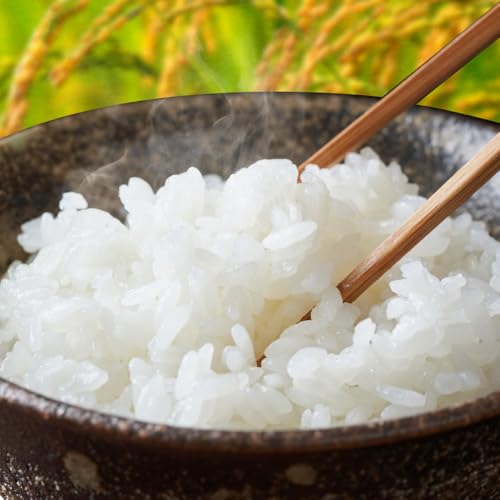 [2ヶ月定期便] ふくおかみのり米 5kg 白米 [定期便:12月から出荷開始] お米 ごはん ご飯 rice kome