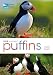 RSPB Spotlight: Puffins