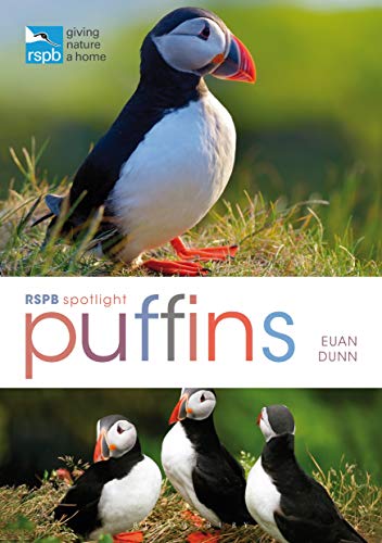 RSPB Spotlight: Puffins view 2