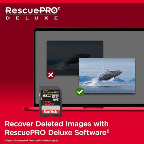 Image of SanDisk Extreme PRO 128GB 2-Pack UHS-I U3 SDXC Memory Card + Green Extreme USB 3.0 Type-A and Type-C OTG Card Reader