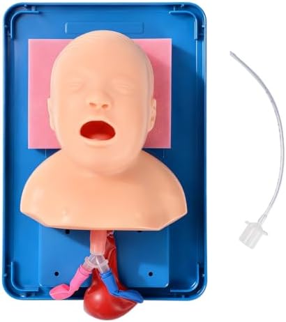 Ultrassist Neonatal Intubation Trainer, Infant Airway Management Manikin