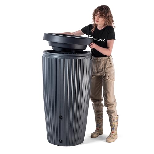 Photo complémentaire