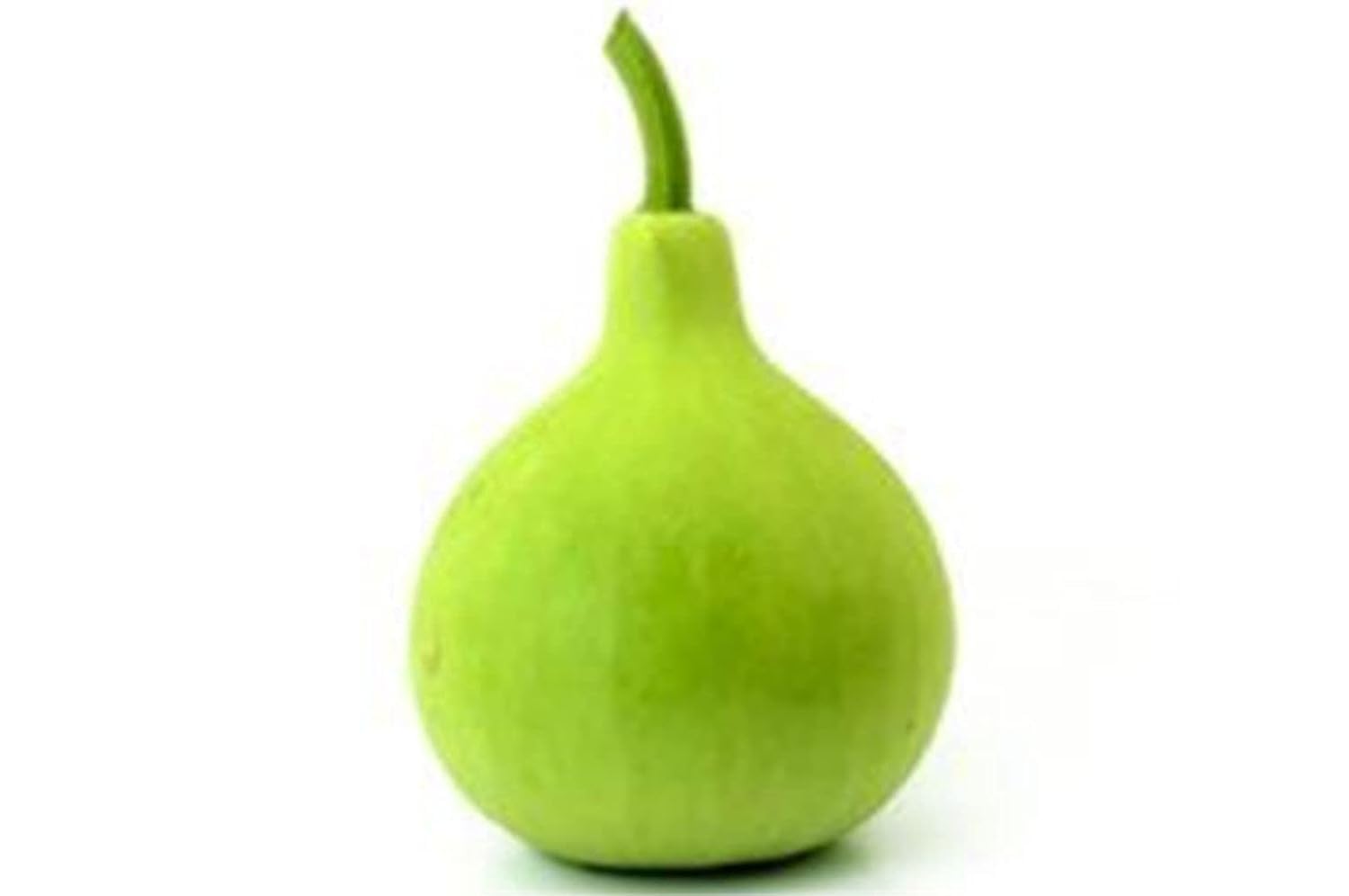TRICONE Vegetable Seeds | Bottle Gourd Round F1 Hybrid Seeds For Home Gardening (30 seeds pack)-picture-36