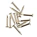 Bright Brass Escutcheon Pins - 1/2