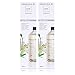 Produktbild Essentails by Ipuro white lily Refill 1000ml Nachfüllflasche - Der reine Duft der weißen Blüte  ein blumig zartes Dufterlebnis (2er Pack)