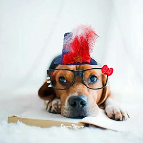 BinaryABC 4th of July Dog Cat Costumes Hat,Patriotic Pet Hat,Independence Day Memorial Day Fourth of July Party Supplies BinaryABC 4th of July Dog Cat Costumes Hat,Patriotic Pet Hat,Independence Day Memorial Day Fourth of July Party Supplies