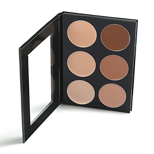 Mehron Makeup Celebré Pro-HD Conceal-It Palette, 6 Shades