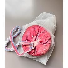 Female Pelvis Childbirth Model Childbirth Demonstration Pelvic Model with Baby Pelvis Placenta Umbilical Cord Fetal Membrane for Study Display Teaching Medical Model A