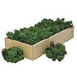 Qualität - die man sieht und spürt, lichtechte und langlebige Farbe, keine Pflege notwendig, nachwachsende Rohstoffe und biologisch abbaubar, EU Produkt, per Hand gepflückt sowie grob gereinigt und sortiert, garantiert ohne Insekten oder Parasiten