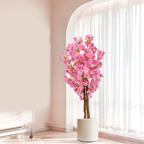 観葉植物 桜 鉢植え」の人気商品一覧 | 安い商品を通販サイトから探す