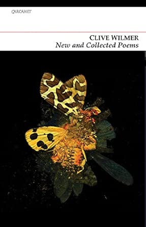 New and Collected Poems book cover