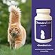 ChondroFelin Gelenkunterstützungs-Kautabletten für Katzen: Mit Grünlippmuschel, Teufelskralle, Chondroitinsulfat & MSM, 180 Stück