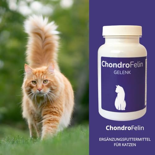 ChondroFelin Gelenkunterstützungs-Kautabletten für Katzen: Mit Grünlippmuschel, Teufelskralle, Chondroitinsulfat & MSM, 180 Stück