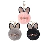 DSDSEYME 3PCS Cute Cat Fluffy Keychain, Plush Keyring Backpack Charm, Ornament Decoration for Bag Handbag Backpack Purse Wallet Car Charm Key Rings
