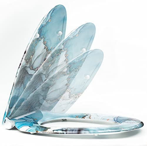 Tomwish Elongated Resin Toilet Seat,Ink Paint Abstract Painting Colorful Marble Plastic Toilet Seat Slow-Close And Quick-Release Design,Easy Clean And Install #TOP1