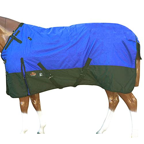 Hilason 600D Winter Waterproof Poly Pony Horse Blanket Royal Blue - 64 Inches | Horse Blanket | Horse Blankets For Winter Waterproof | Horse Turnout Blanket | Horse Turnout #TOP19