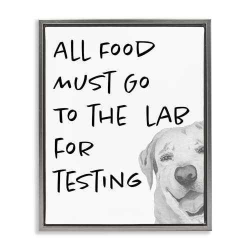 Funny Dog Food to Lab Testing, 16 x 20 Inch Canvas in Floater Frame