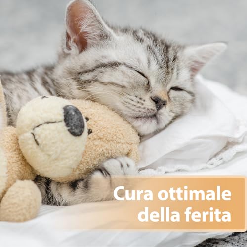 Felisept Spray per ferite per gatti 75ml - Spray per ferite per gatti per pulire ferite, pelle e mucose - Cura delle ferite per gatti - Facile da usare e indolore per i gatti - 5