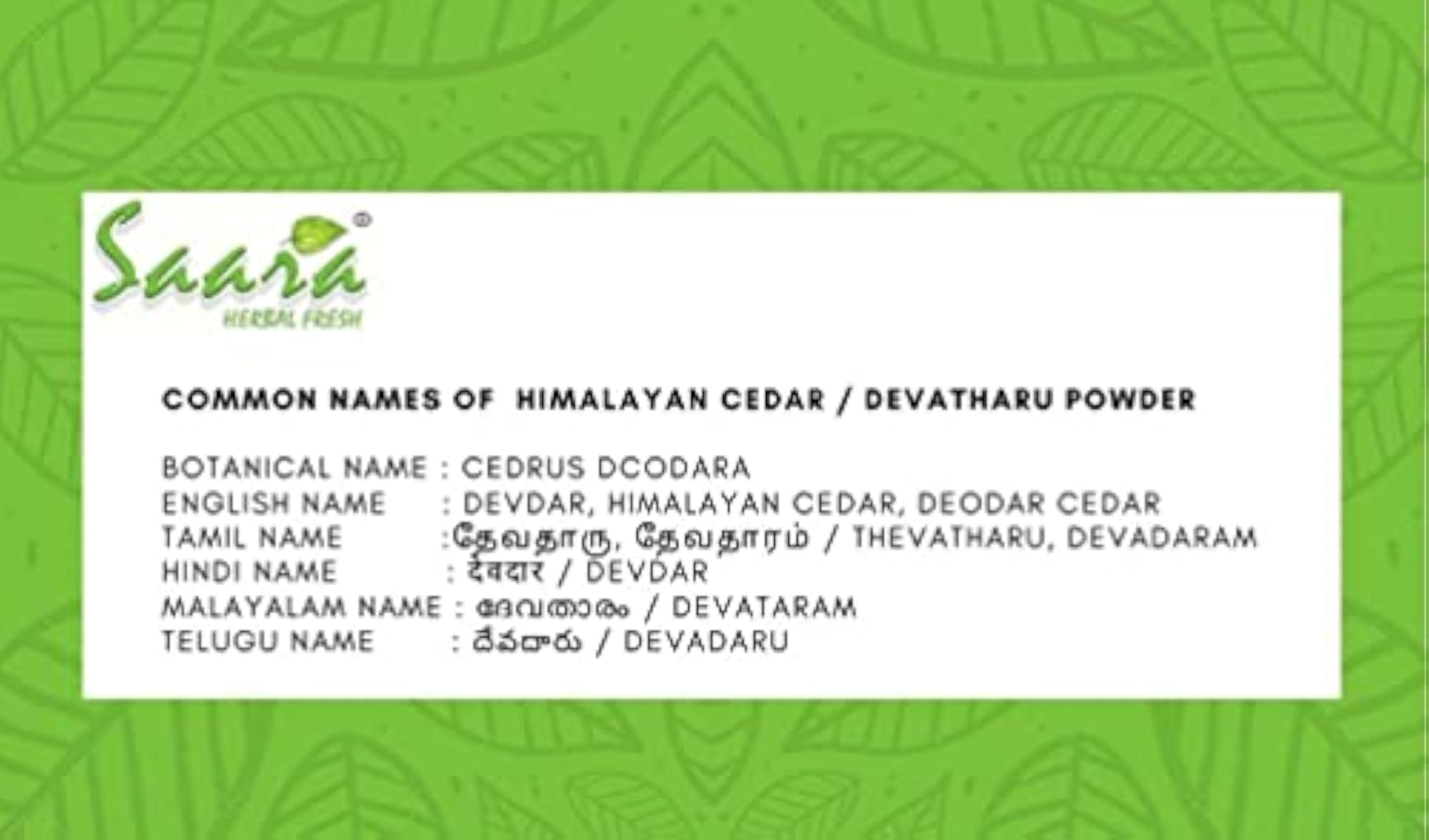 SAARA Deodar Wood Powder Cedrus Deodara 100g