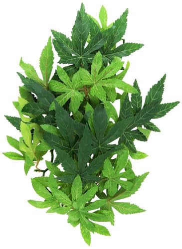 Exo Terra Silk Terrarium Plant, Medium, Abutilon