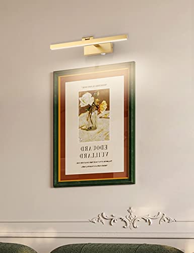 Joosenhouse Picture Light Battery Operated Dimmable Wireless Picture Light With Timer Remote Gold Painting Light Adjustable Swing Arm Wall Light 15.75" Inches Long 3000K #TOP6