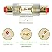 SIGANDG 4-8 Gauge AWG in-line Fuse Holder with 100A AGU Fuses for Car Audio, Alarm, Amplifier, Compressors, Waterproof Inline Fuse Holder 100 AMP