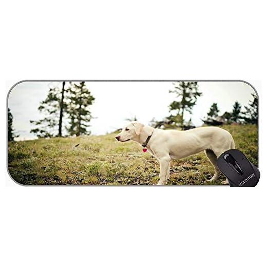 Juego extendido Almohadilla de ratón Grande, Rottweiler Puppy Dog Office Mouse Pad