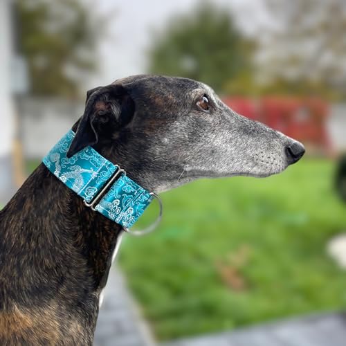 Extra Soft Martingale Dog Collar for Greyhound Saluki Whippet and Other Breeds with Similar Neck 2