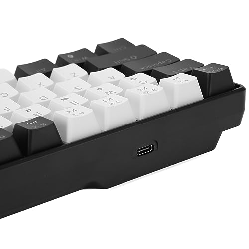 Teclado Mecánico Pomya RGB USB 65% Compacto miniatura 7