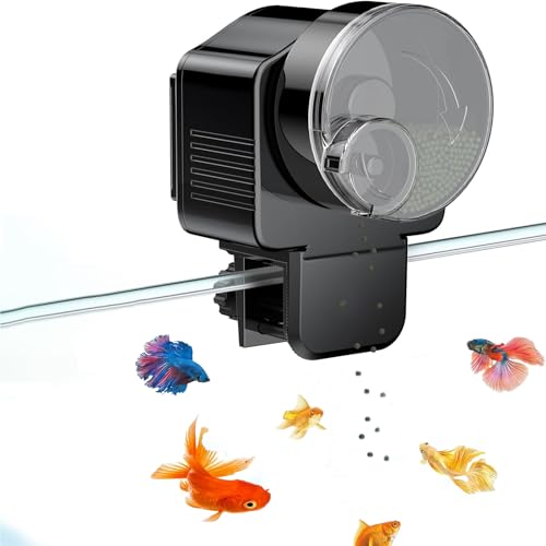 Bornoon �������a�� �� ������ �h����?�a���@ ���߉\�ȋ@ �z�u���� 12 ����/24 ���Ԑ؂�ւ��e�� �a����� �莞 �y���玞�ł����S�I��؂Ȃ����̉a���͂��܂����I�z