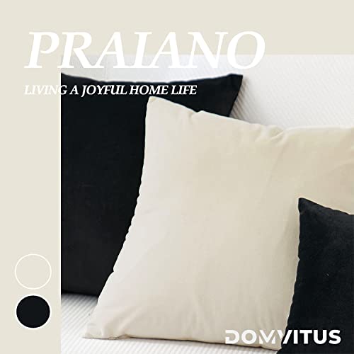 Domvitus Velvet Throw Pillow Covers 18X18 Set Of 2 Decorative Pillows For Bed Square Couch Pillows For Living Room Soft Accent Pillows Luxury Cushion Case For Sofa, Cream #TOP3