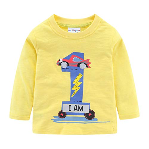 Image of Mud Kingdom Little Girls Birthday Shirt Long Sleeve Cute Cartoon