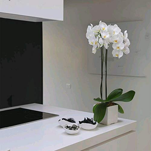 Ho2Nle 2Pcs 27.5 Inches Real Touch Artificial Orchid Branches Fake Phalaenopsis Flower Arrangements Diy For Home Office Wedding Vase Table Centerpieces Decor #TOP2
