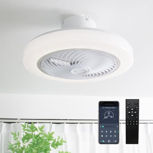 y2025ŐV ʁzV[Ot@Cg VƖ  5H 4000lm 6~8 KiF //g 6Kiʒ t] ^C}[@\ [@\ É 铔[h R/|fCz ȒPt