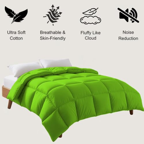 Image of Queen Size Comforter Set - All Season Down Alternative Bedding Comforter Set - Quilted Duvet Insert with Corner Tabs - Box Stitched Blanket - Breathable, Soft - Parrot Green