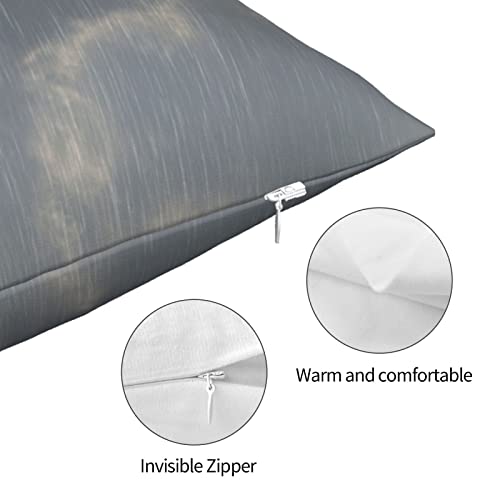 Varun Throw Pillow Covers Elephant Holds Umbrella For Dog On Rainy Day Funny Design Square Pillowcase For Home Decor Sofa Car Bedroom Pillow Case 18X18Inch #TOP5