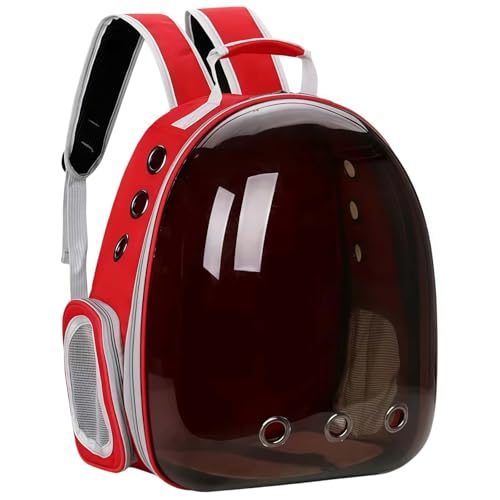 ybgL[obO LL[ Lp FDJvZ^ bNTbN sybgobO  o ʋC e ϋv S ܂肽 pbht O[(J)