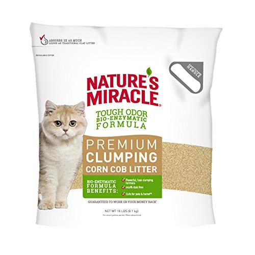 BEST Cheap Cat Litter in 2023 [Updated February] EUVietnam Business Network (EVBN)