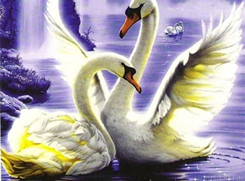 Peinture diamant 5D cygne d'eau pour retrouver le calme et la sérénité créative à la maison