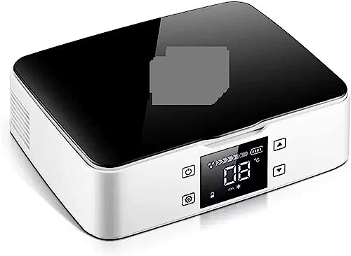 Refroidisseur d'insuline contre la chaleur : mini-réfrigérateur USB portable 10V