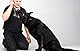 Dingo Gear S00232 Hundespielzeug Bissenzieher, Handarbeit aus schwarzem genarbtem Leder, stark für Training Ipo Agility