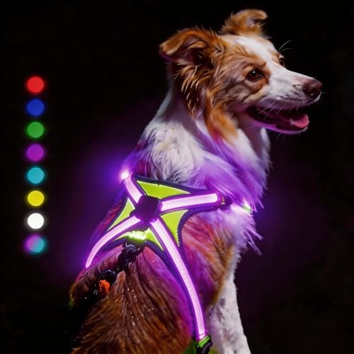 Light Up Dog Harness Type-C Rechargeable LED Dog Harness with RGB Multi-Colour Lighting Mode & 500mAh Battery, 500m Visible Waterproof Glow in The Dark Safety Vest for Night Walking, Avoid Accident XL