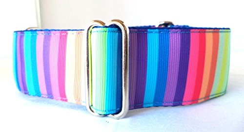 Regal Hound Designs 1.5 Wide Martingale Dog Collar, Lined, 2 Sizes, Rainbow Stripe (Large XL 17-26 )