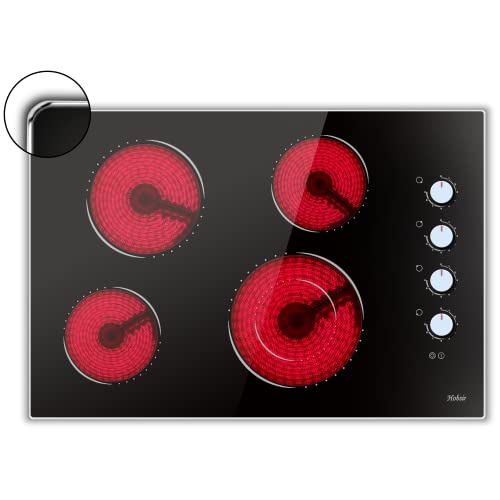 Top 10 Best 30 Inch Electric Cooktop Reviews & Buying Guide Katynel